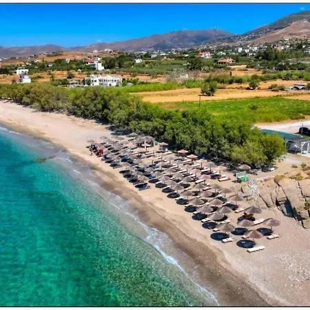 Orelia 2 Apartman