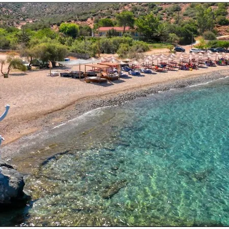 Apartman Orelia 2 *
